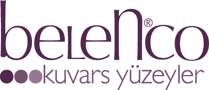 Baneva Ahşap Yapılar - Referans