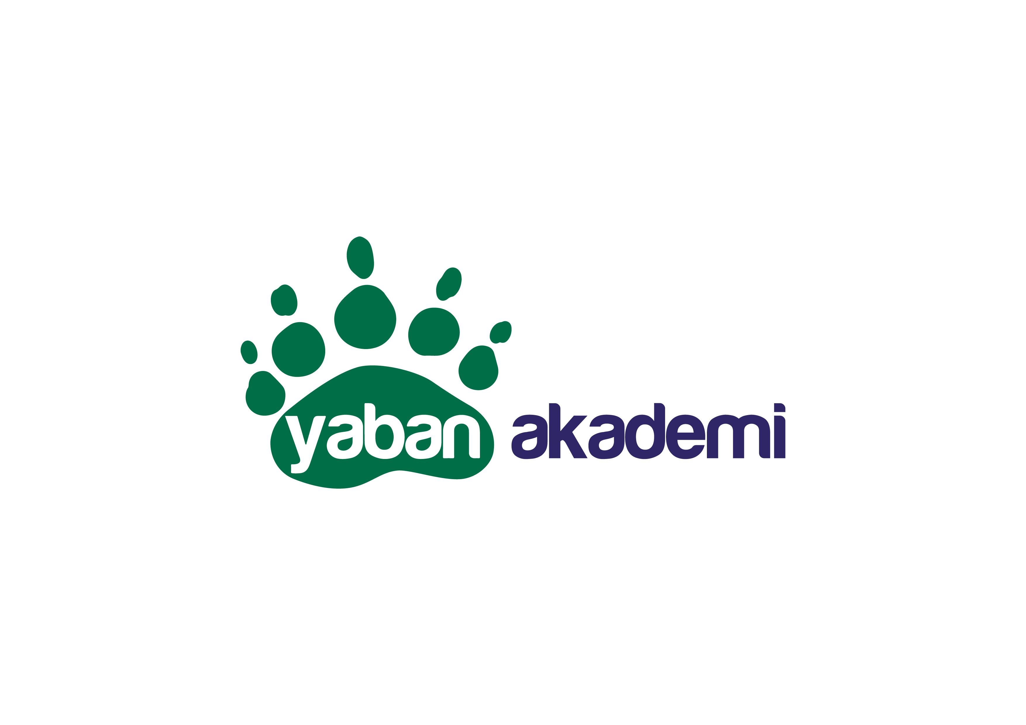 Baneva Ahşap Yapılar - Referans